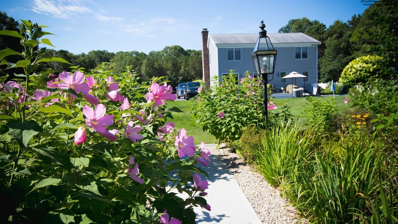 Photo of Outdoor in East Falmouth
