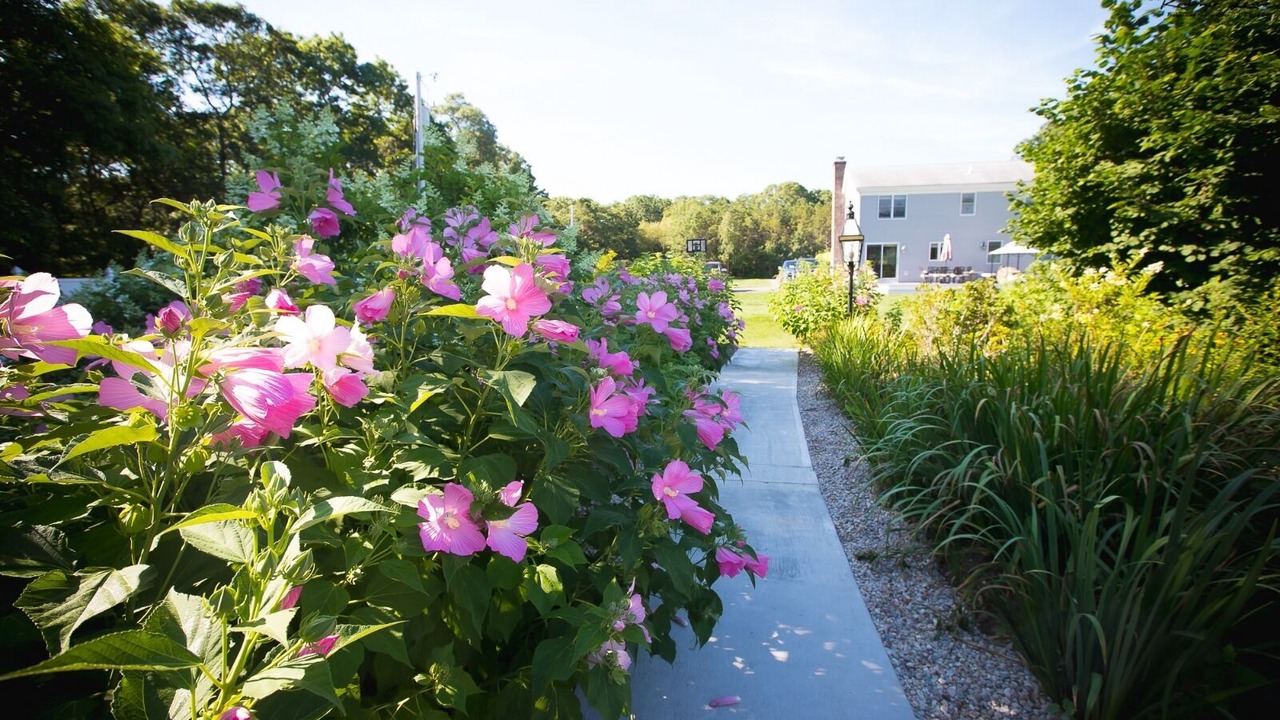 Photo of Outdoor in East Falmouth