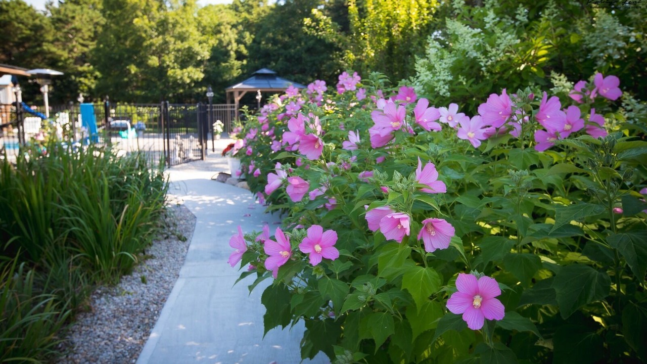Photo of Outdoor in East Falmouth