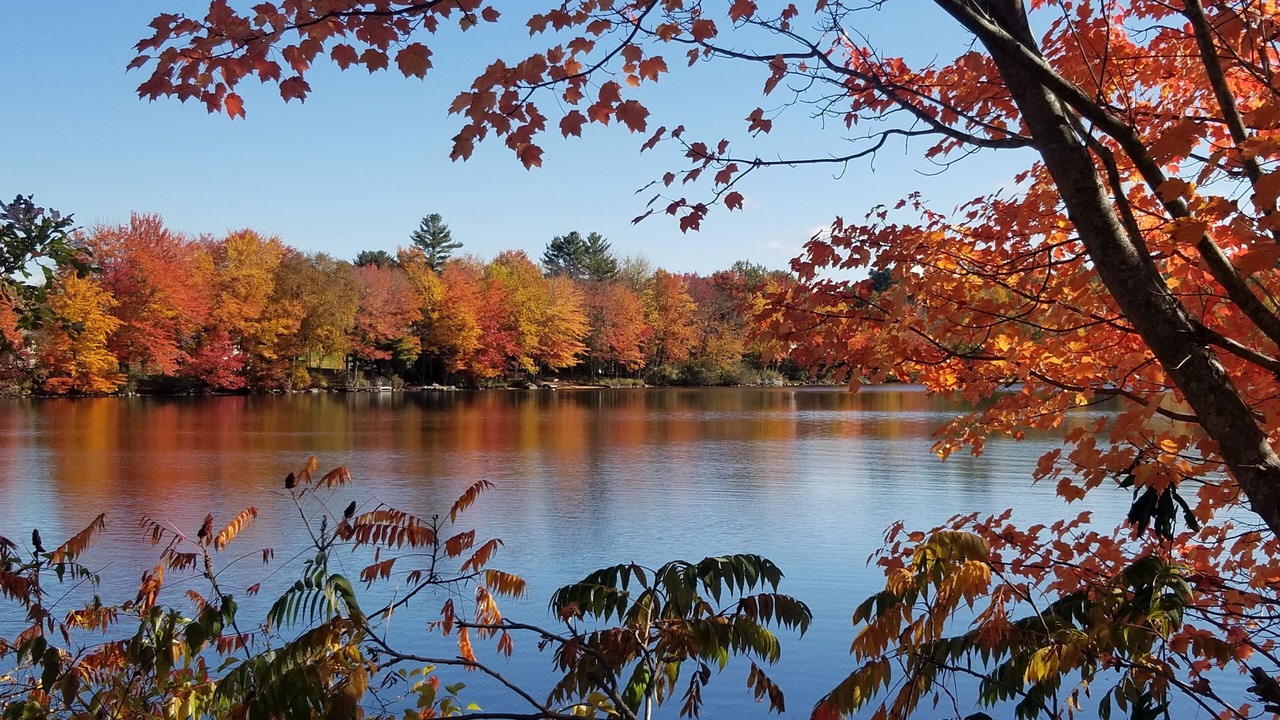 Photo of Others in Wolfeboro