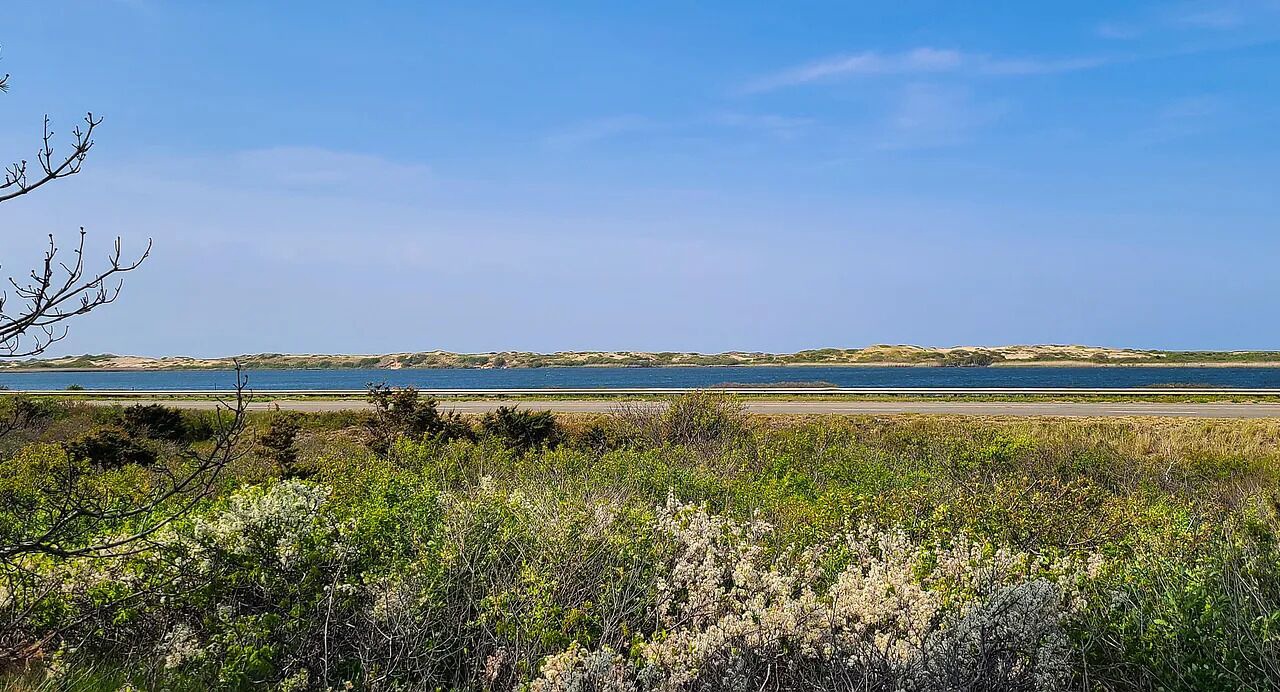 Photo of Others in North Truro