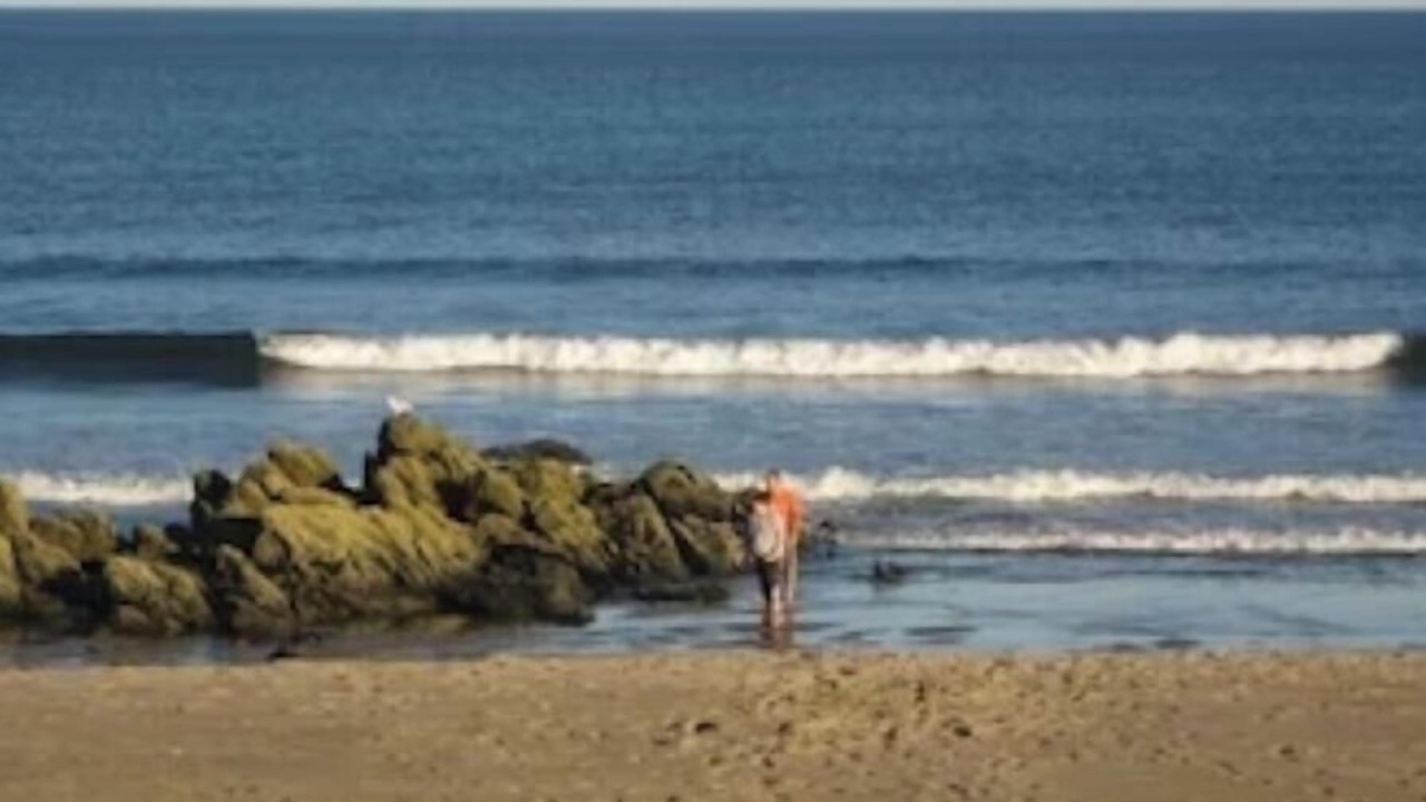 Photo of Others in Ocean Park