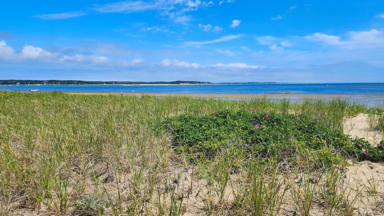 Photo of Others in Wellfleet