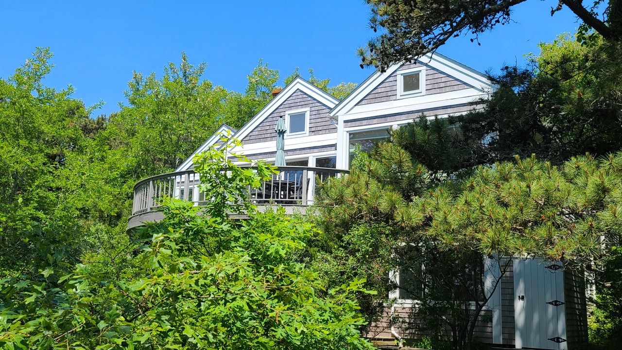 Photo of Others in Wellfleet