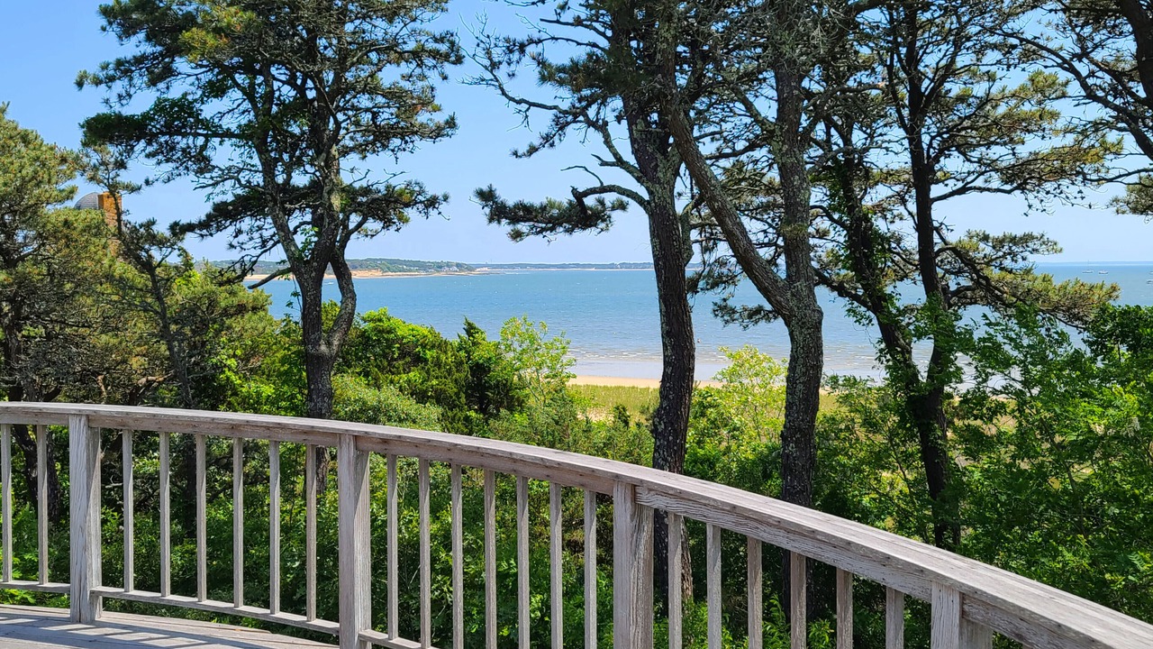Photo of Others in Wellfleet