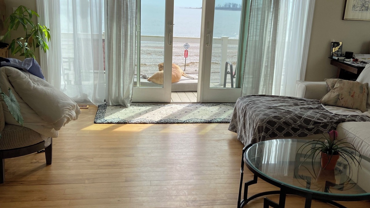Photo of Livingroom in Devon