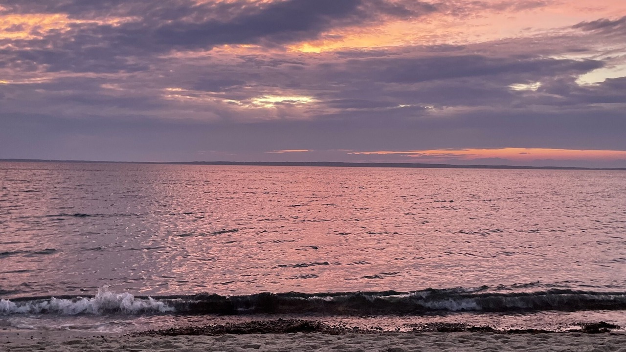 Photo of Others in West Tisbury