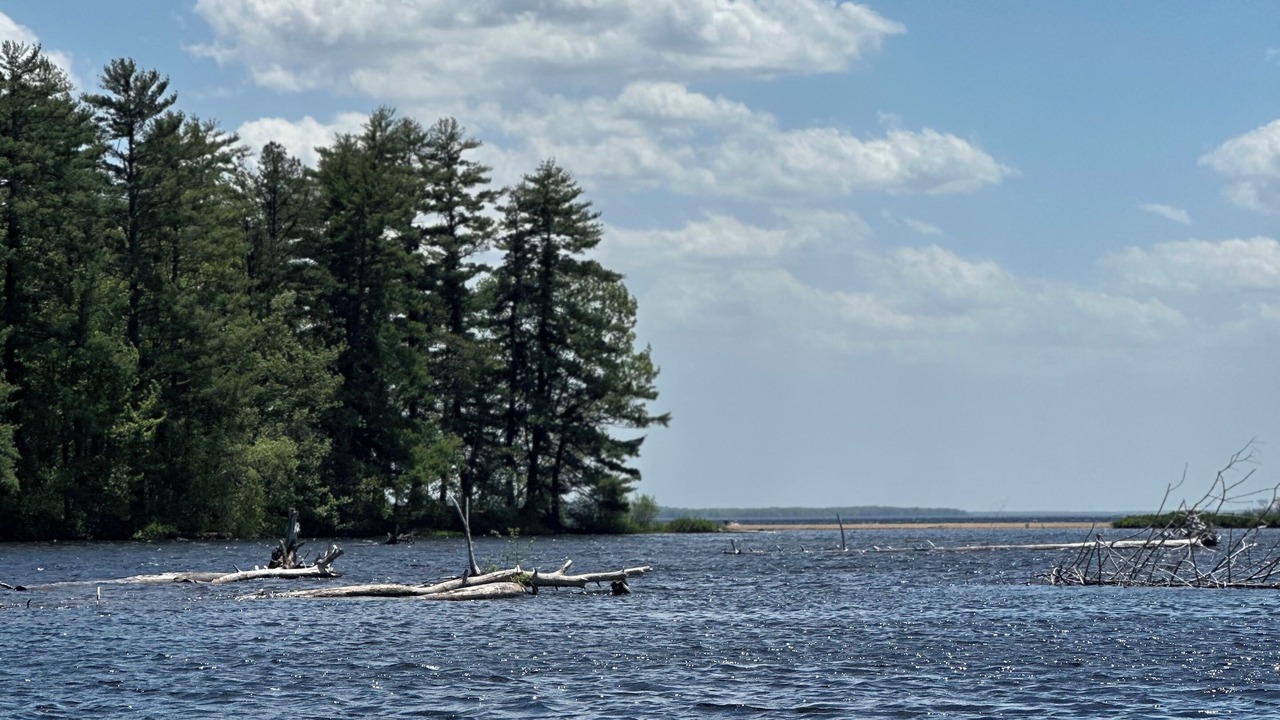 Photo of Others in North Sebago