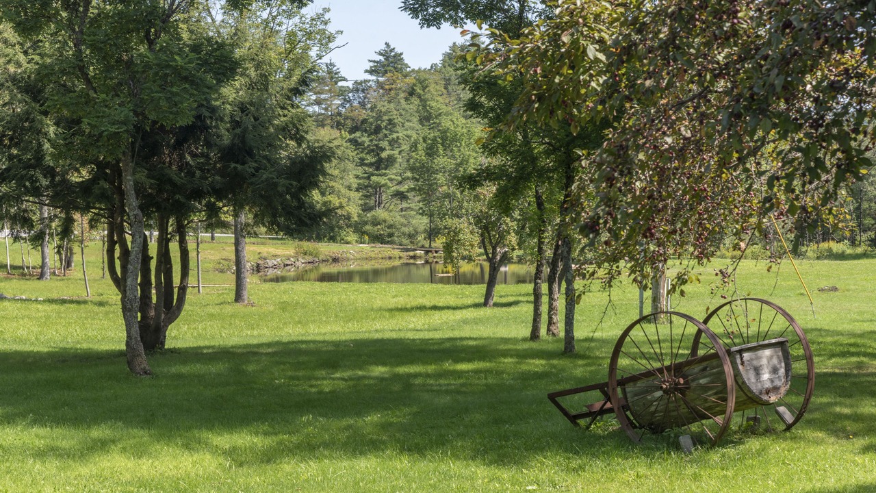 Photo of Outdoor in Wardsboro