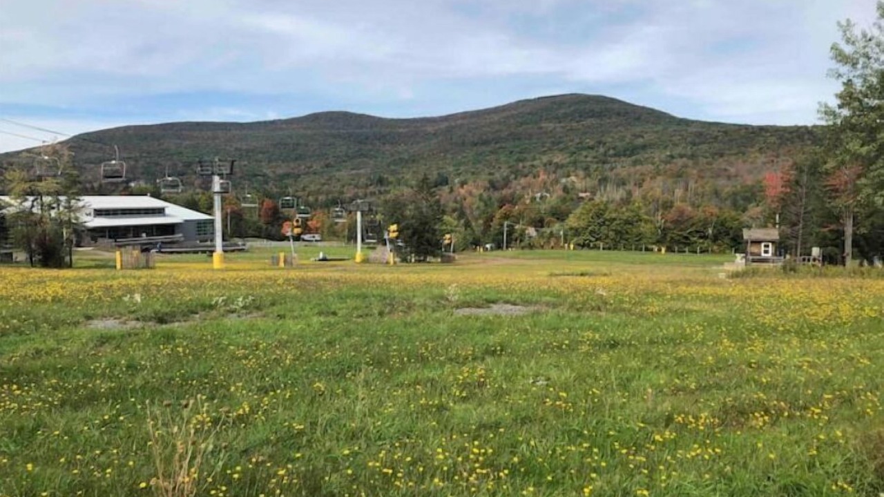 Photo of Outdoor in Hunter
