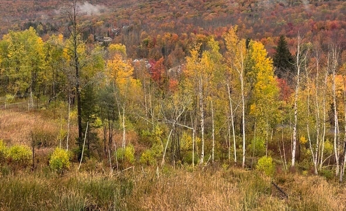 Photo of Others in Hunter