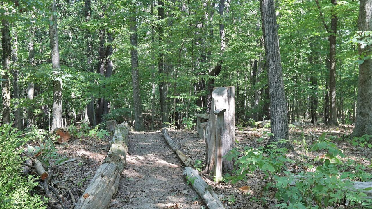 Photo of Others in New Paltz