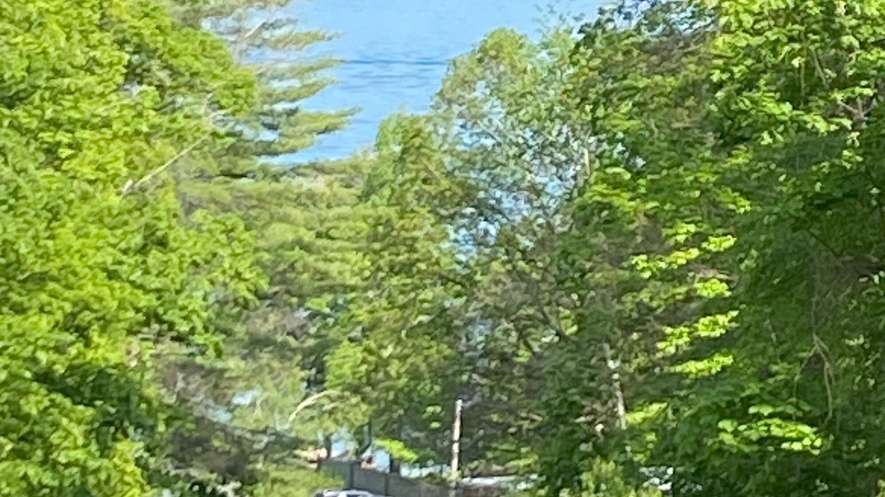 Photo of Others in North Lake George