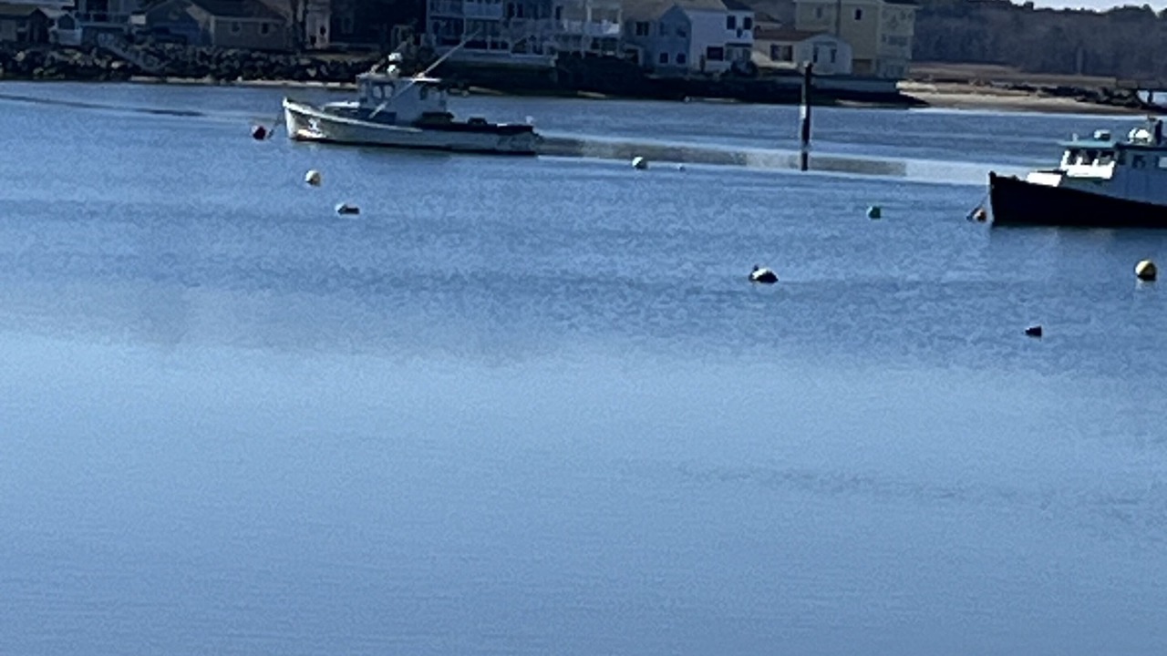 Photo of Others in Seabrook