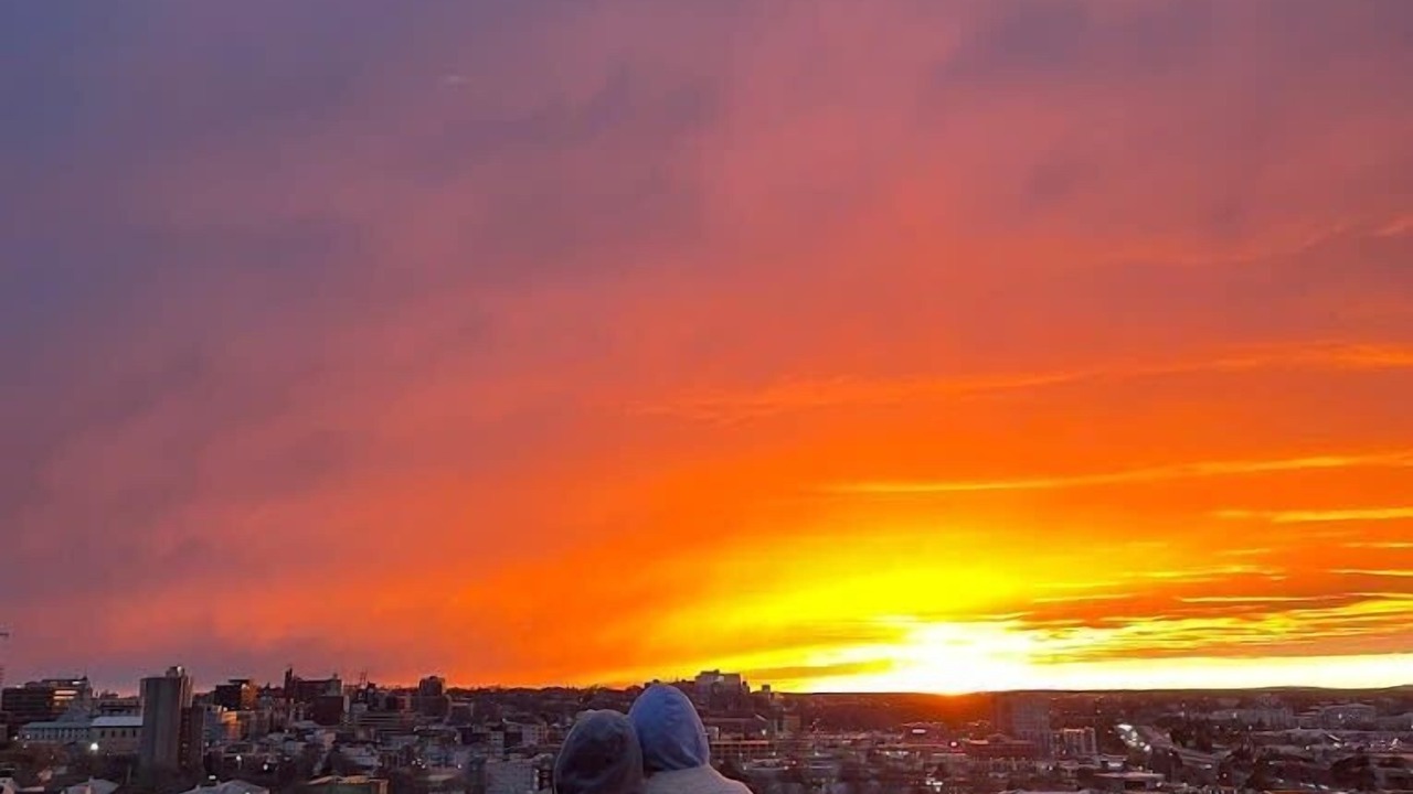 Photo of Others in Munjoy Hill