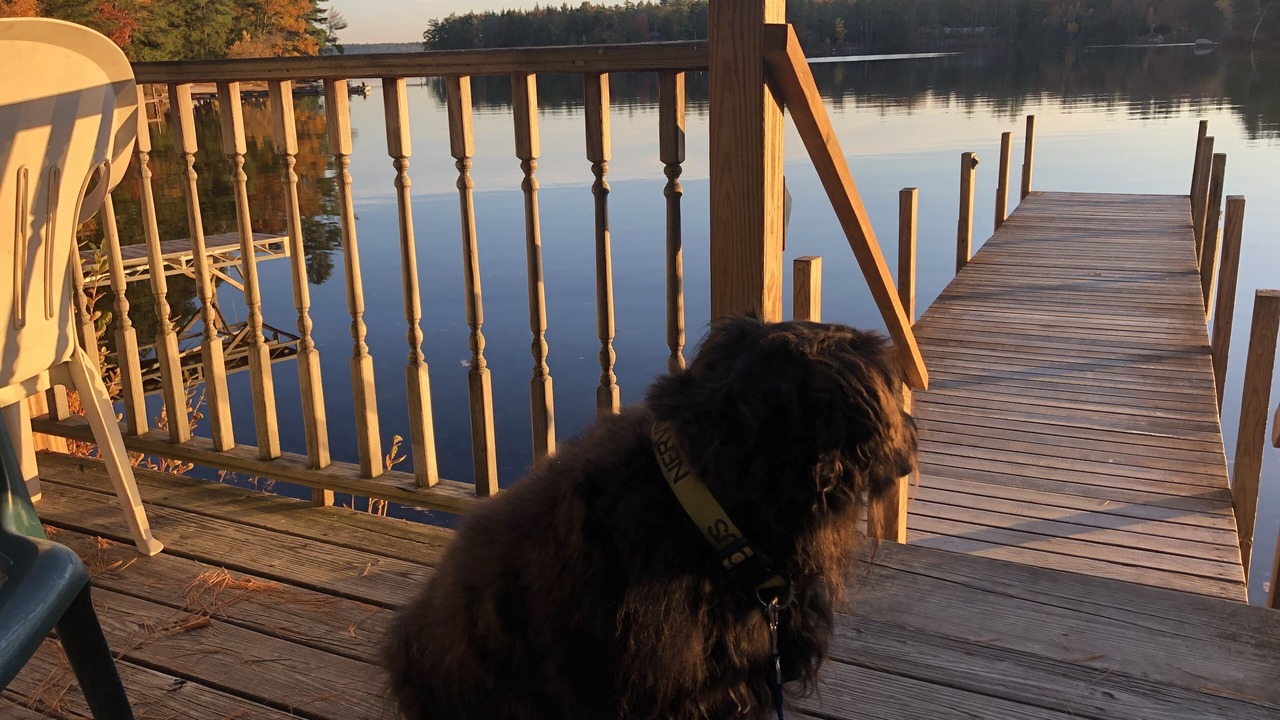 Photo of Outdoor in Moultonborough