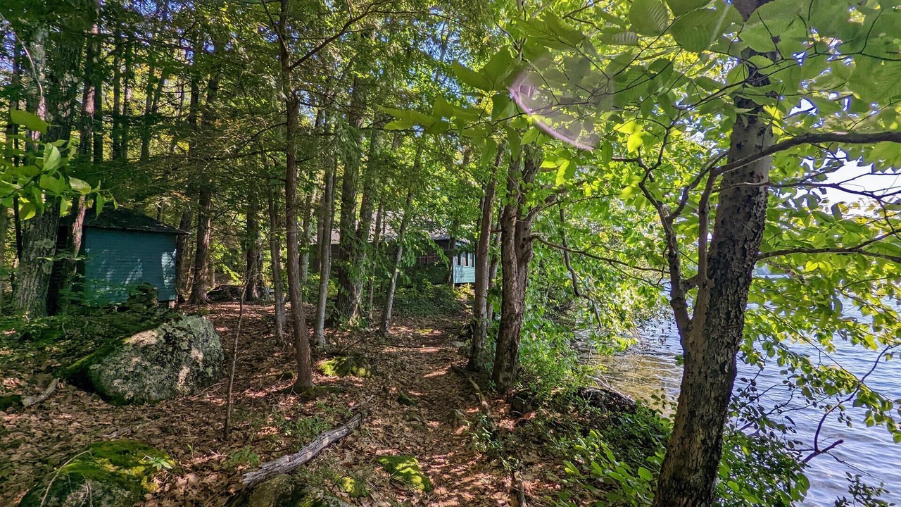 Photo of Others in Laconia