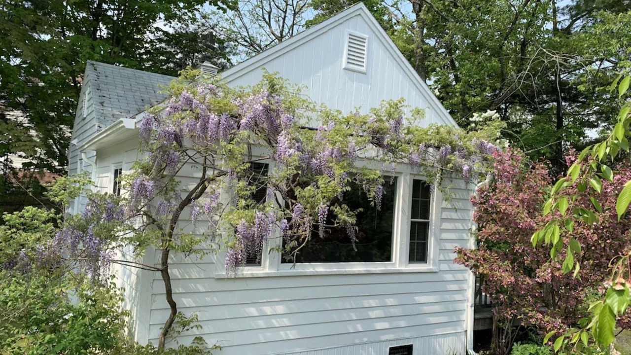 Photo of Outdoor in Ogunquit