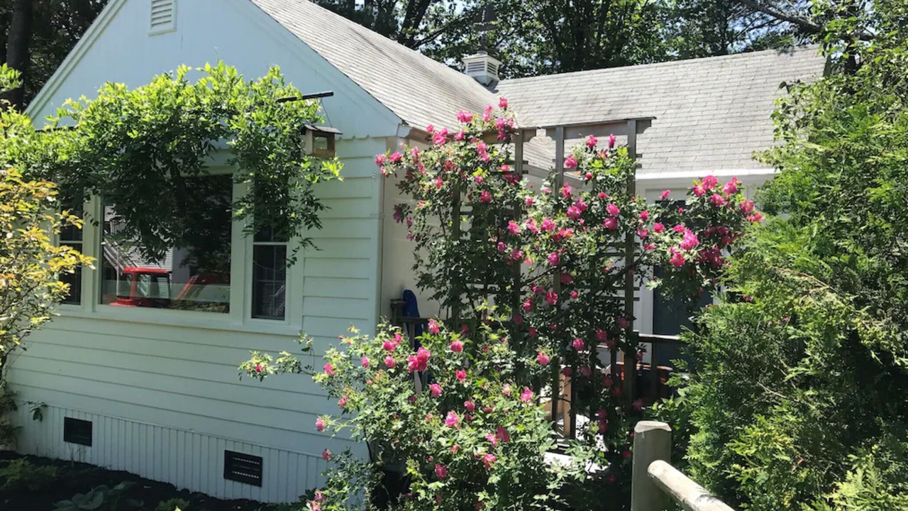 Photo of Outdoor in Ogunquit