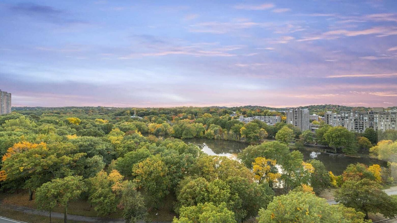 Photo of Outdoor in Jamaica Plain