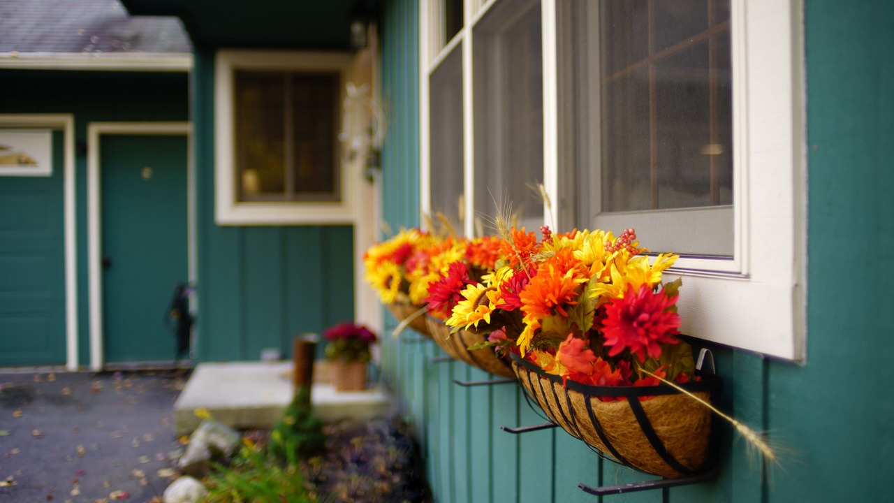 Photo of Outdoor in Lake George
