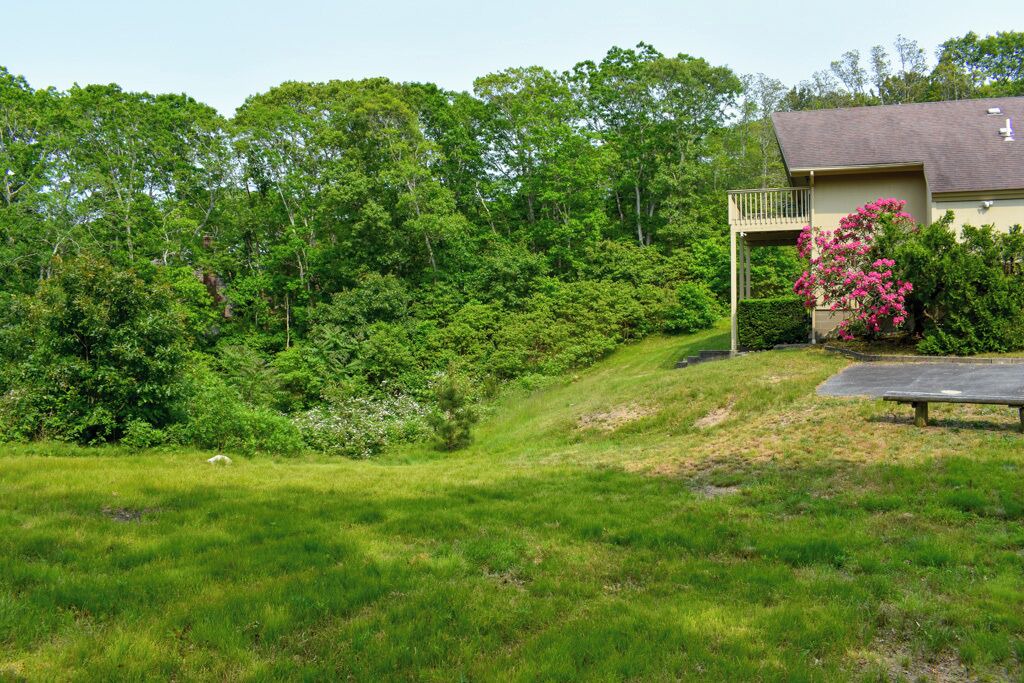 Photo of Outdoor in Dennis