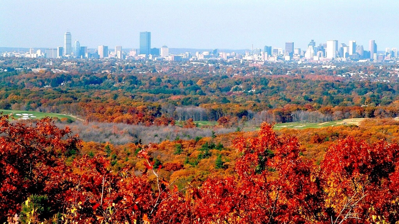 Photo of Outdoor in St. Marks