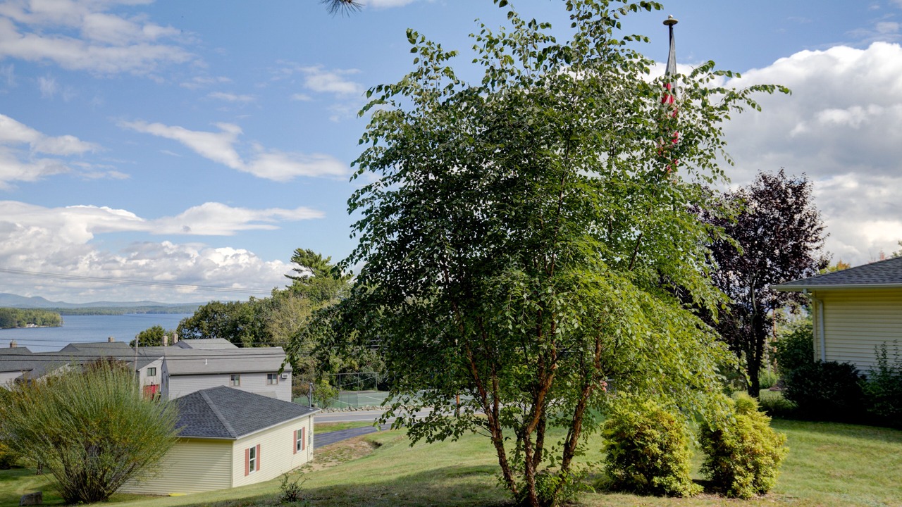 Photo of Outdoor in Gilford