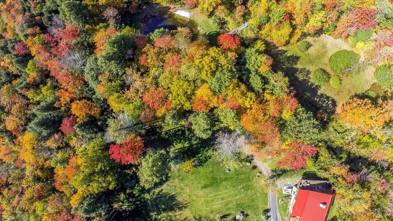 Photo of Outdoor in Highmount