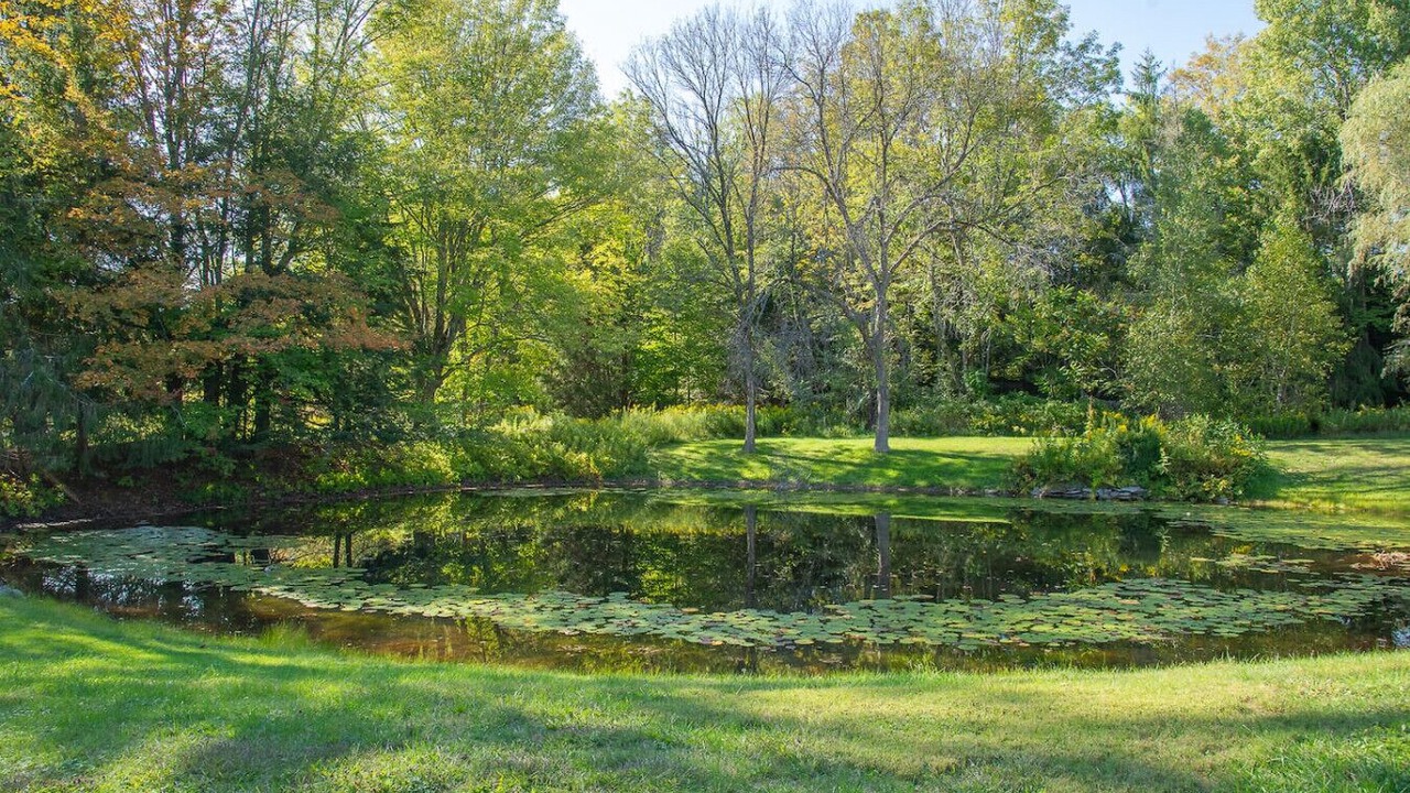 Photo of Outdoor in East Meredith