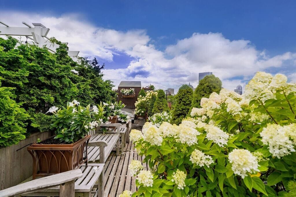 Photo of Outdoor in Beacon Hill