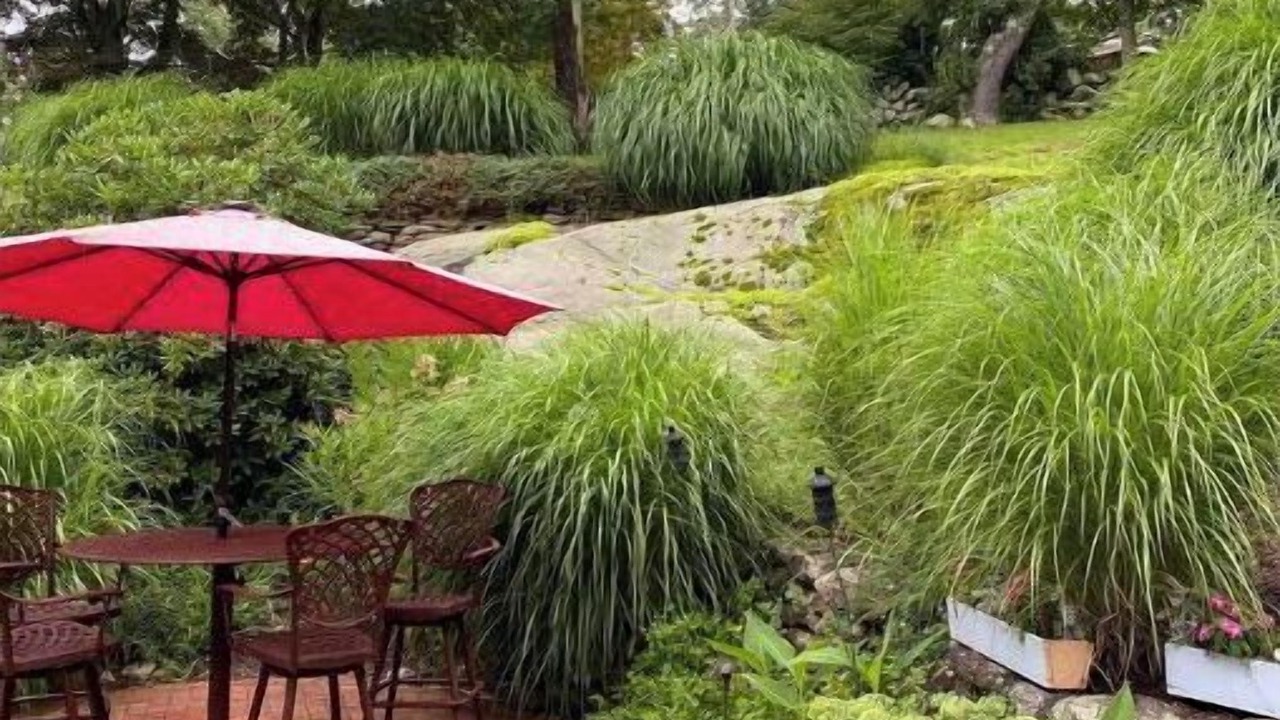 Photo of Outdoor in West Mystic