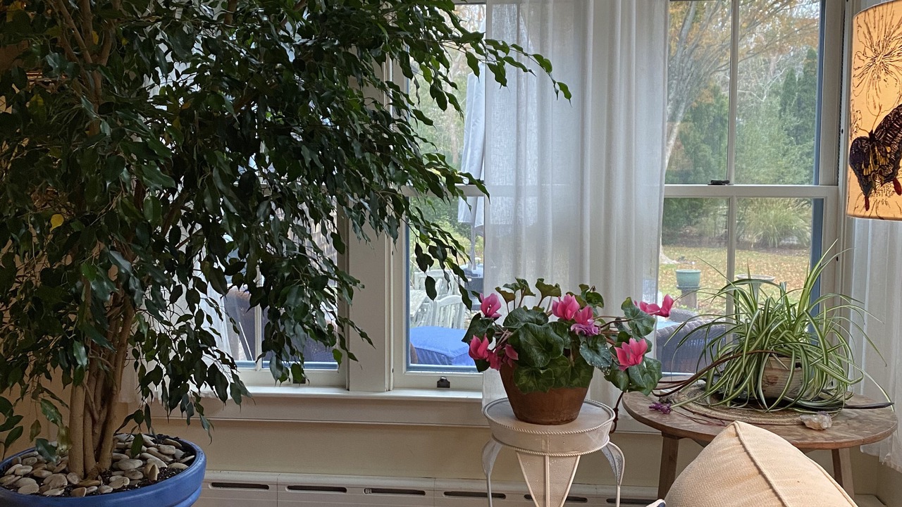 Photo of Livingroom in Dennis