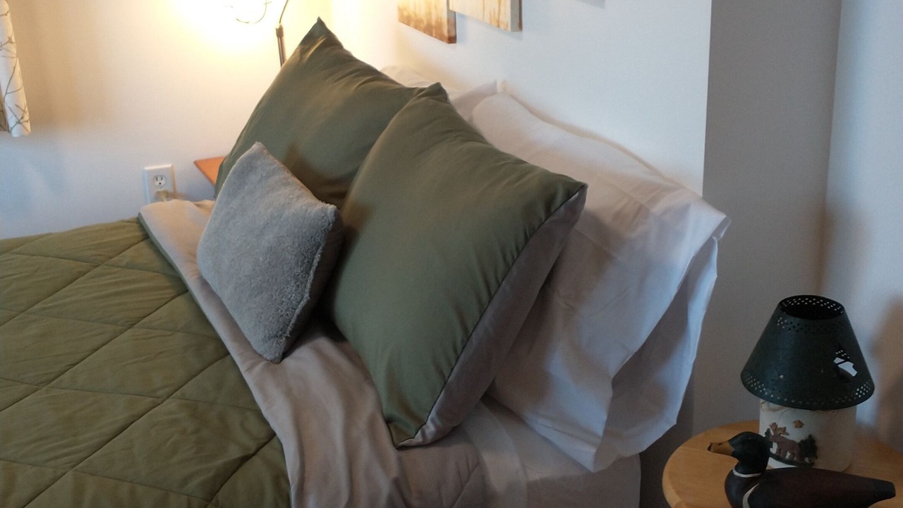 Photo of Bedroom in Alton Bay