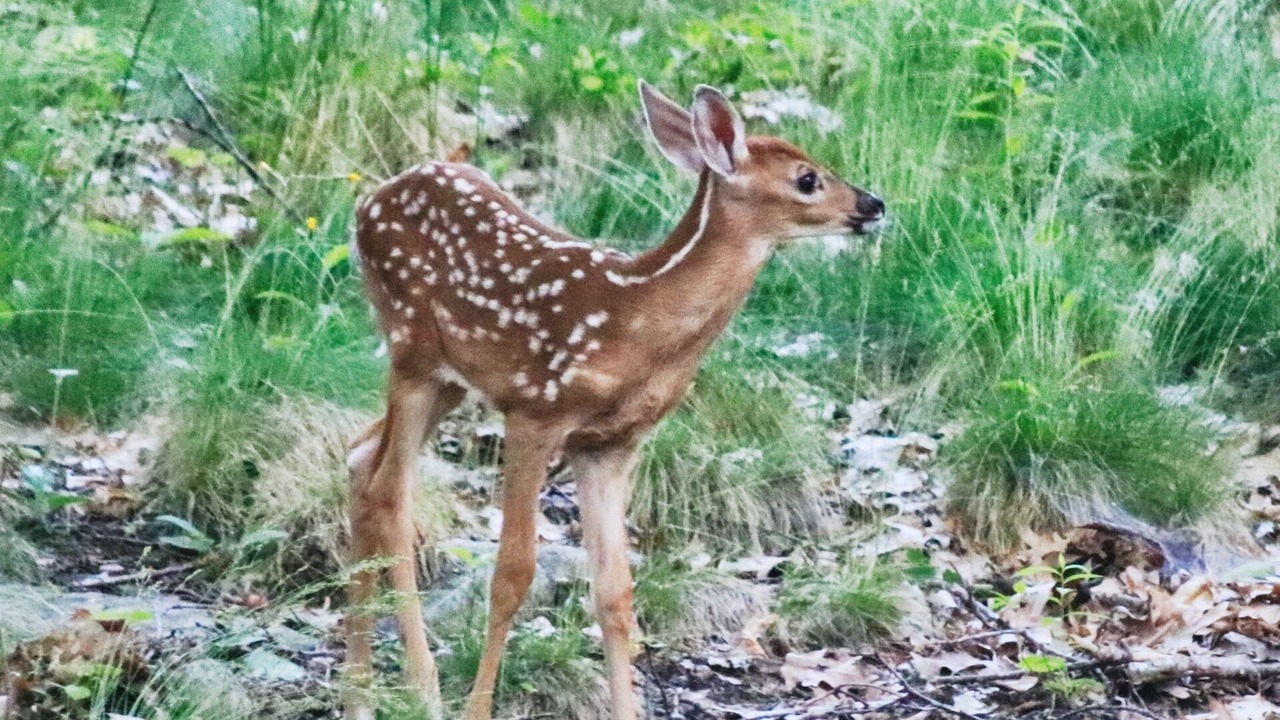Photo of Outdoor in Niantic