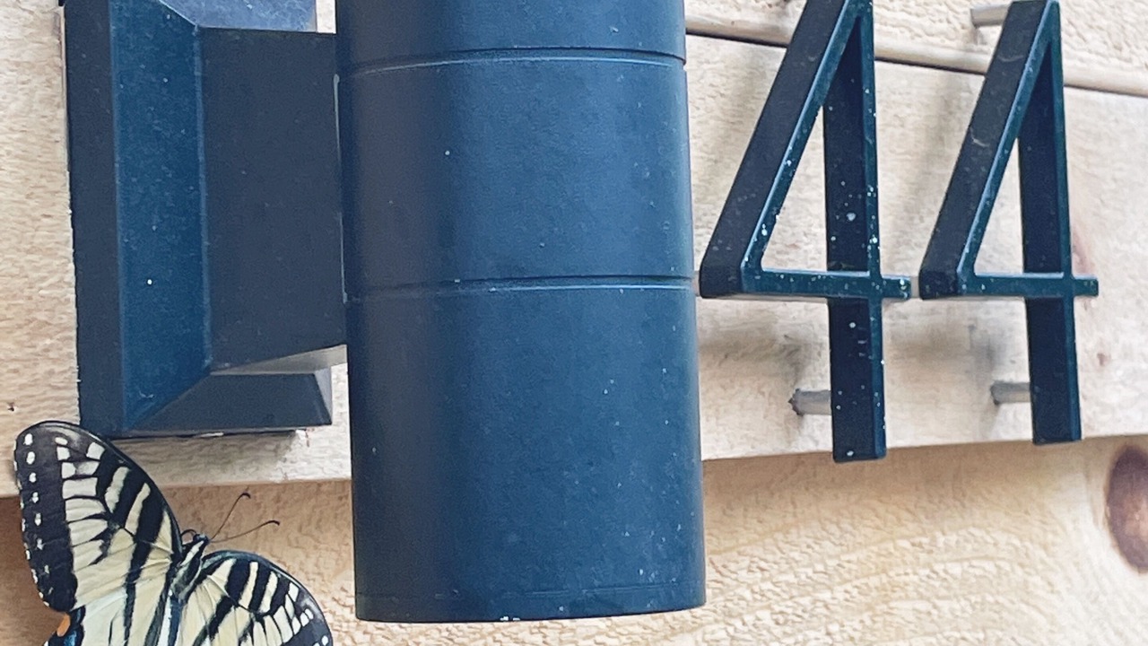 Photo of Others in Niantic