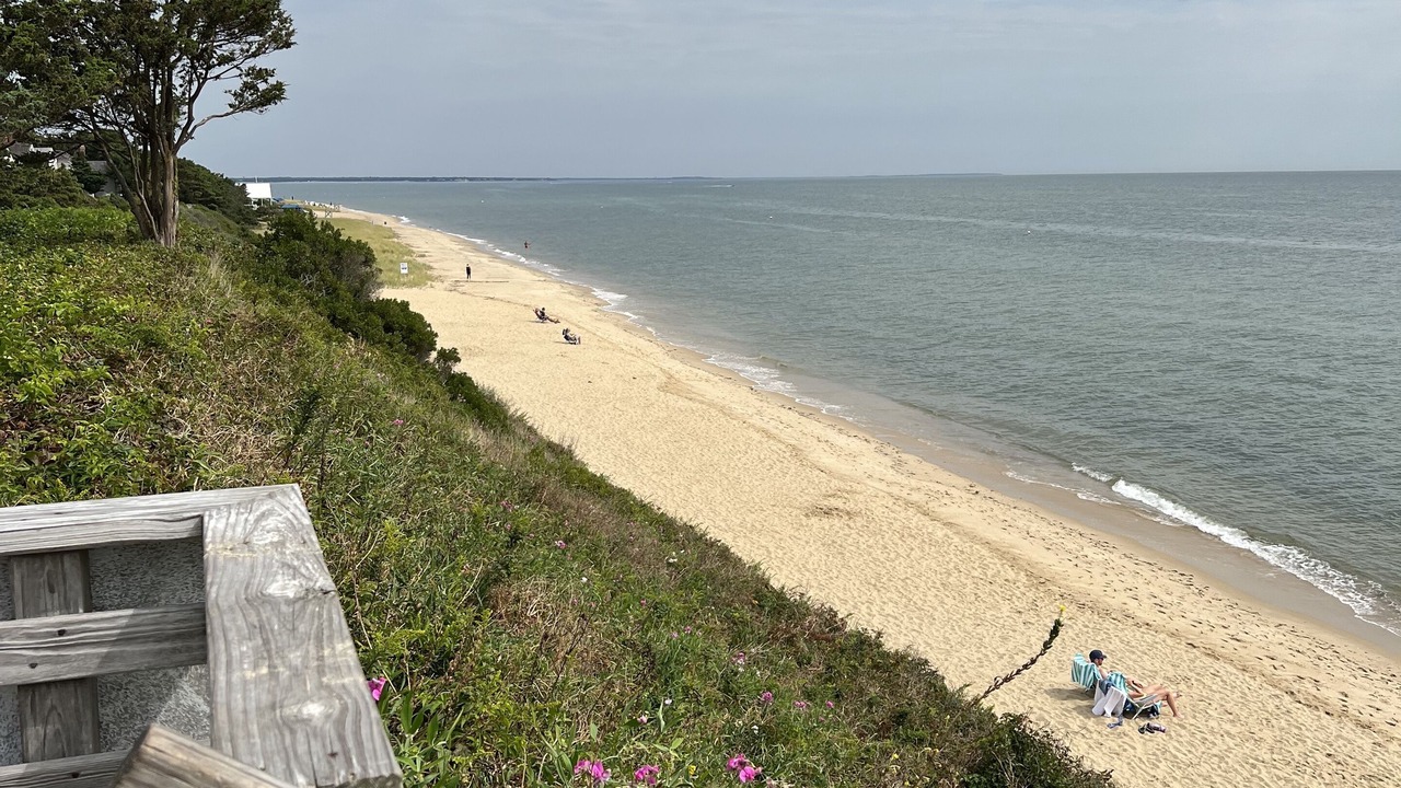 Photo of Others in Mashpee