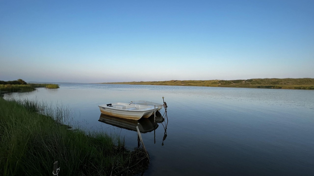 Photo of Others in Chilmark