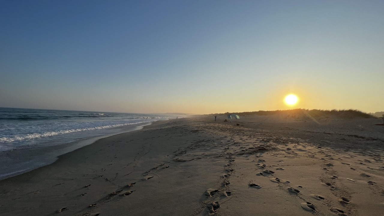 Photo of Others in Chilmark