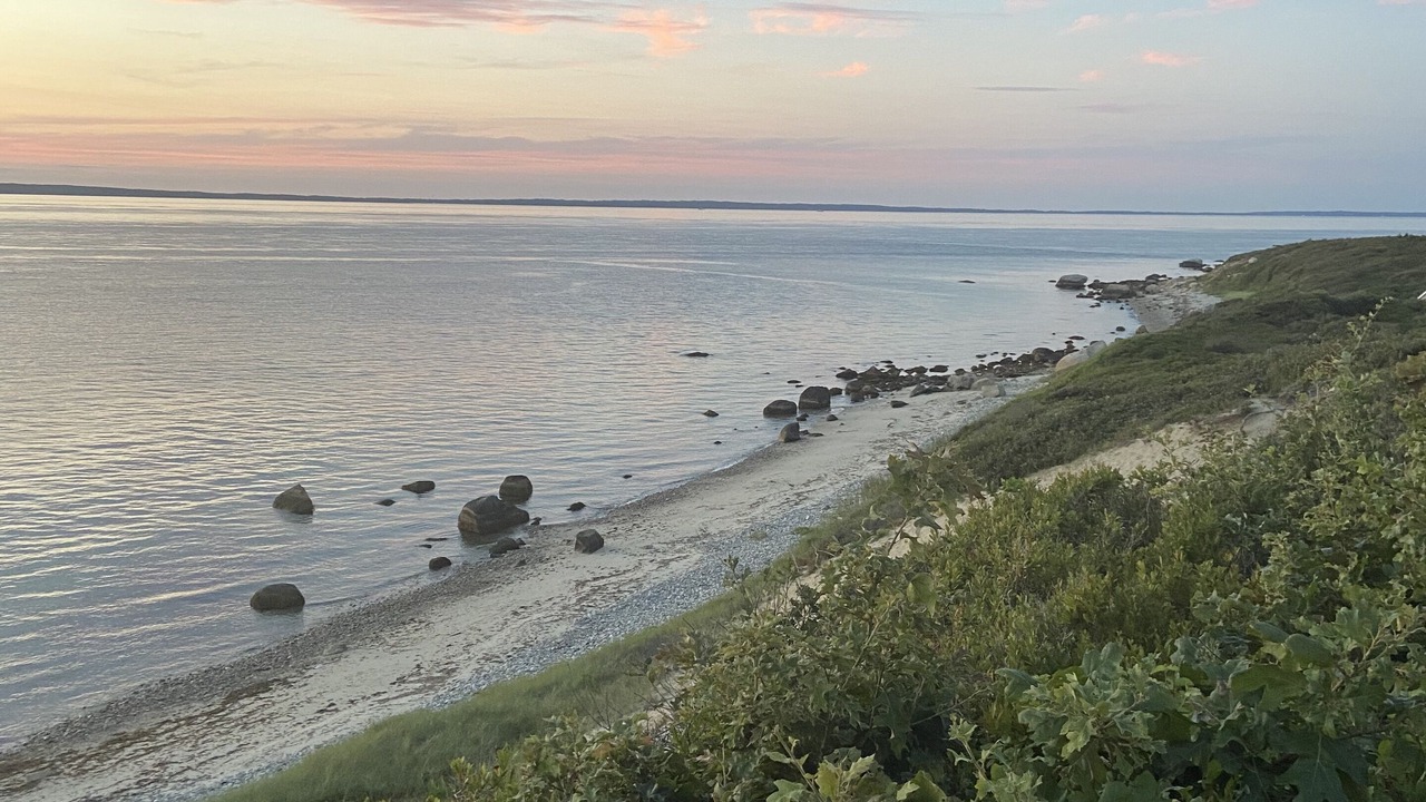 Photo of Others in Chilmark
