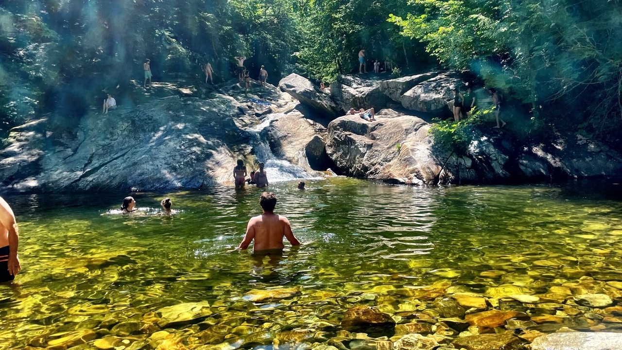 Photo of Others in Mountain Acres