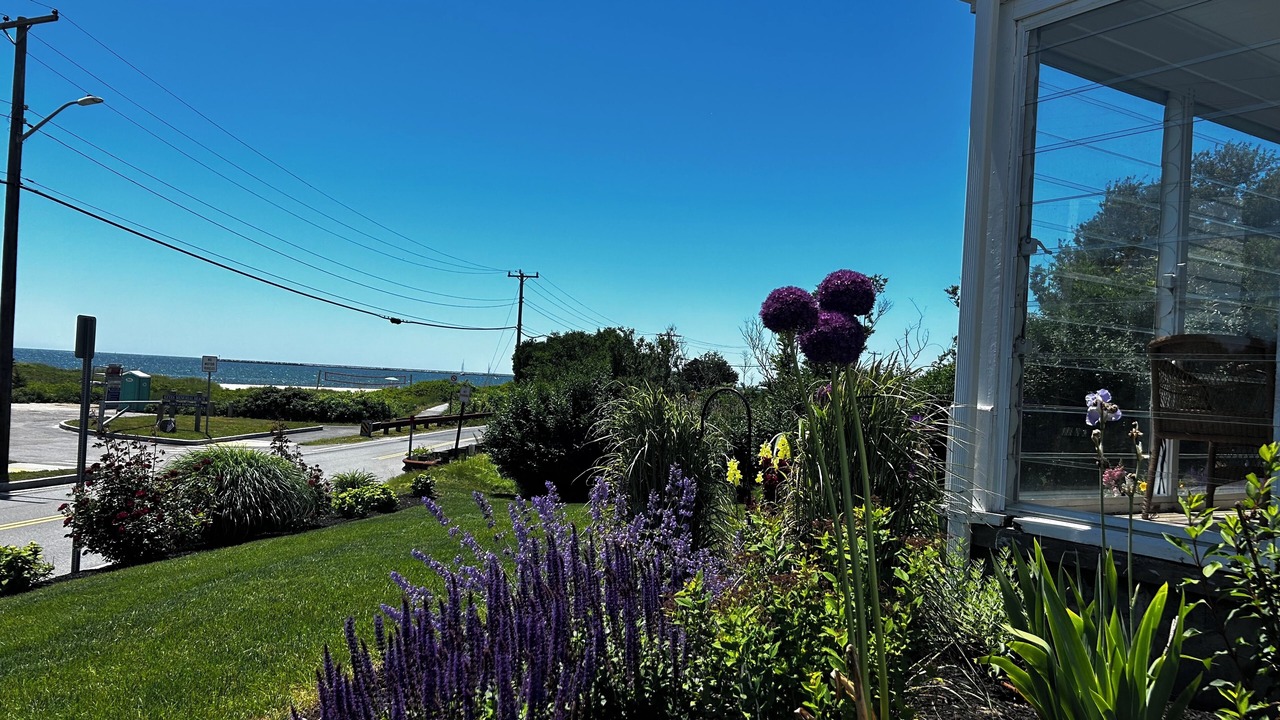 Photo of Outdoor in Hyannis