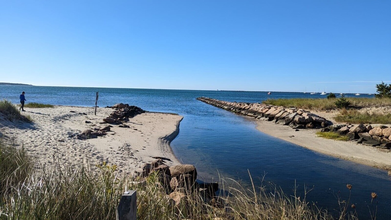 Photo of Others in Hyannis