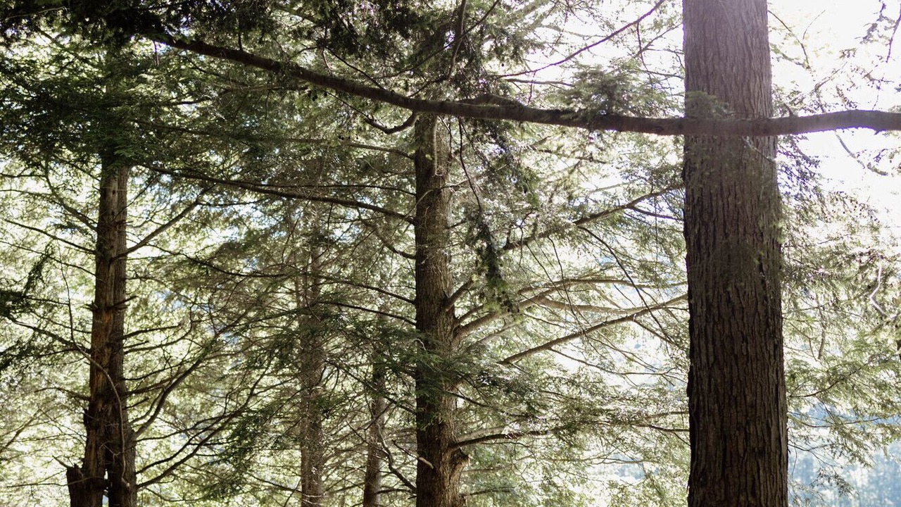 Photo of Others in North Woodstock