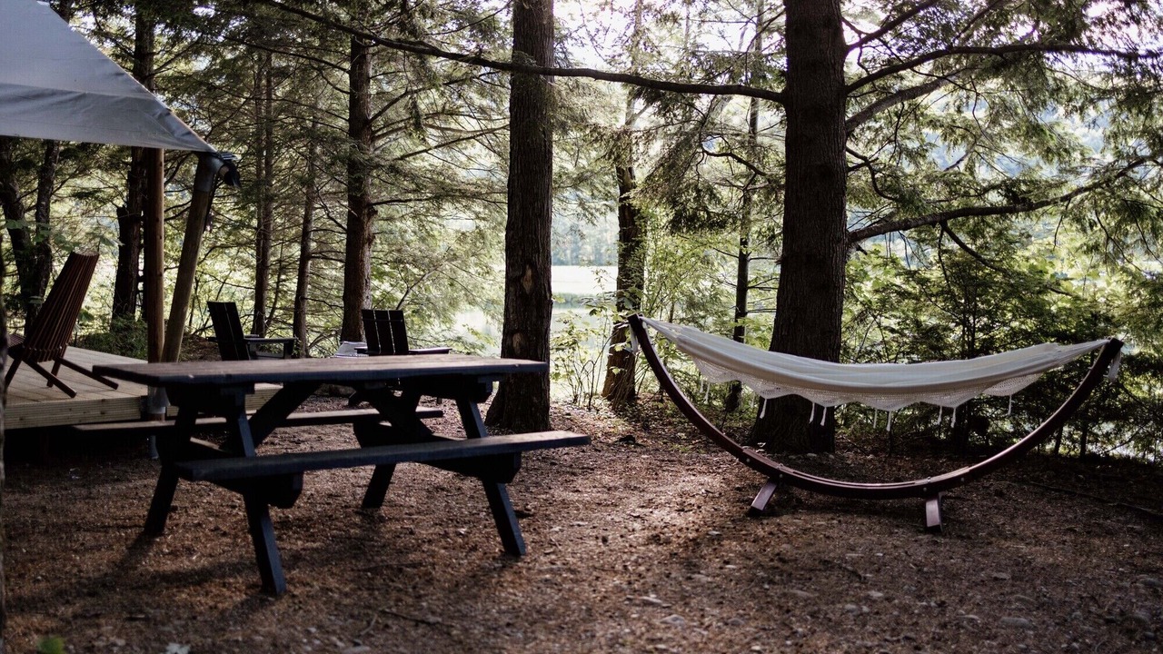 Photo of Others in North Woodstock