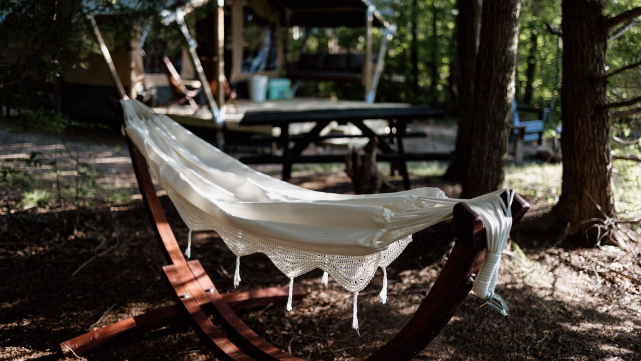 Photo of Others in Woodstock