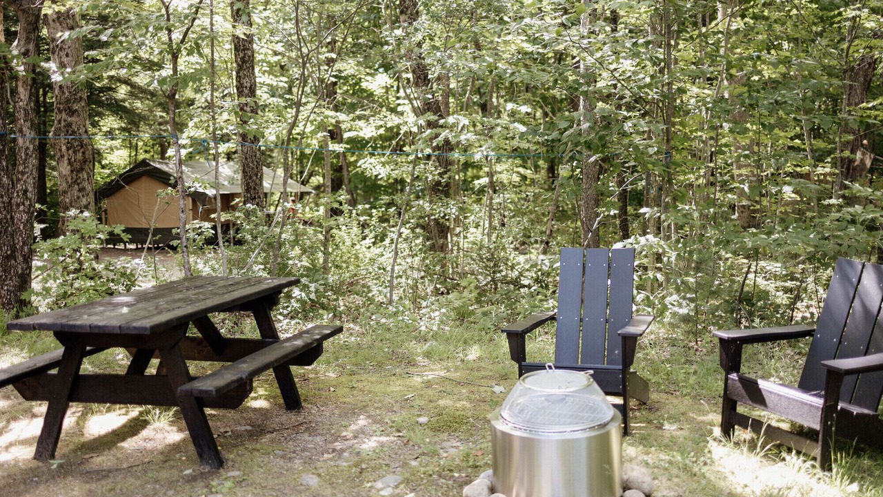 Photo of Others in Woodstock