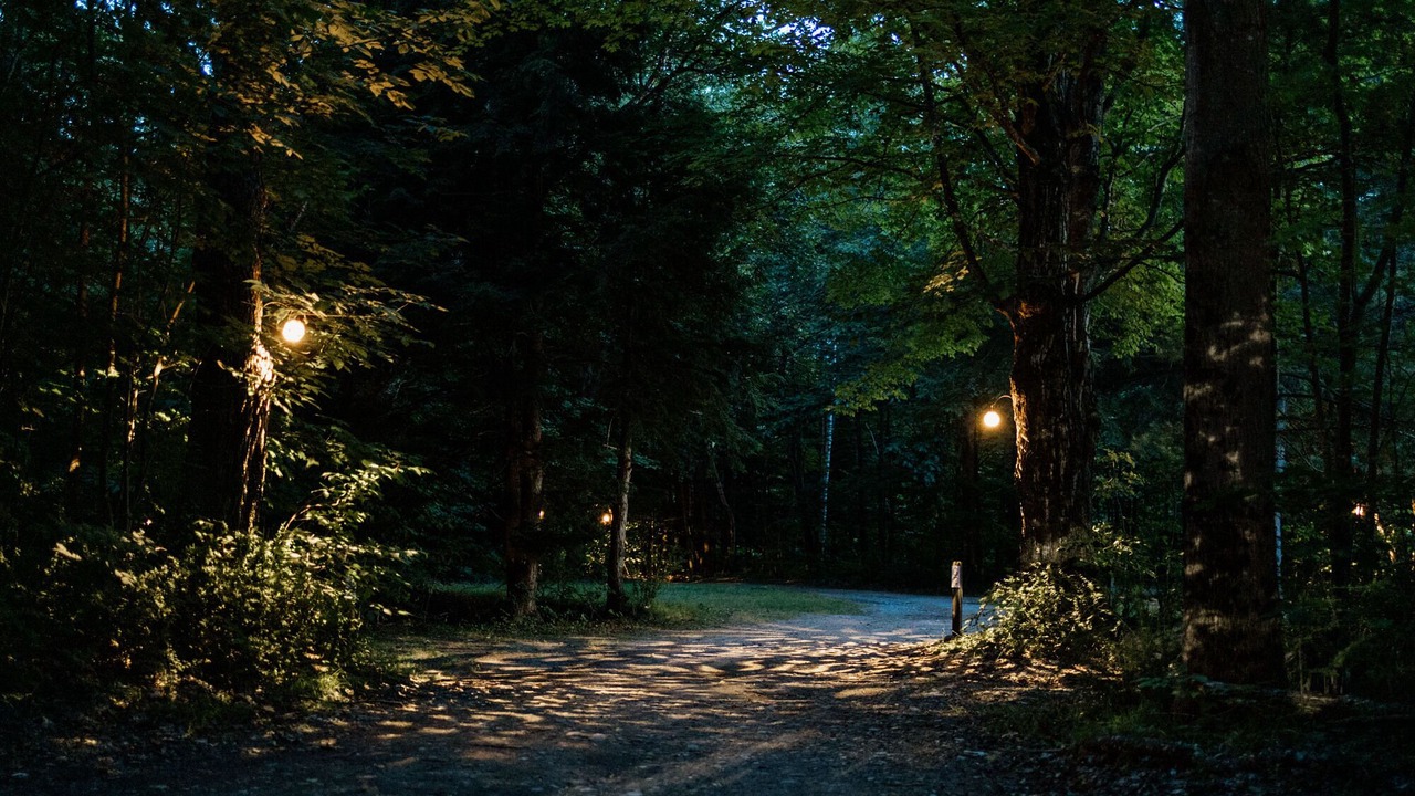 Photo of Others in North Woodstock