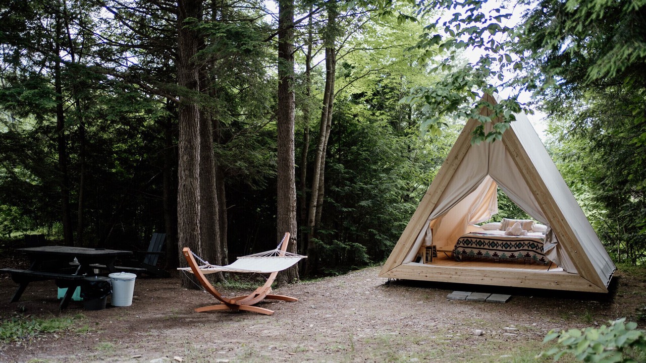Photo of Others in Woodstock