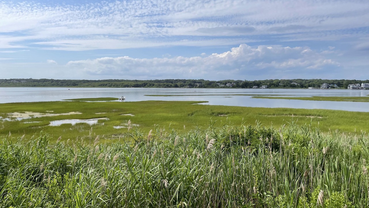 Photo of Outdoor in Westerly